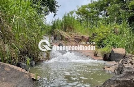 Cần nhượng lại lô đất 5.000m² Ngọc Định – có suối, ô tô tới nơi, giá chỉ 290 triệu/sào